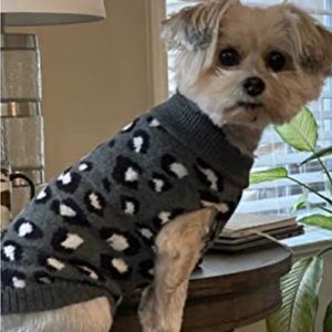 NWOT Size Medium Animal Print Cat or Dog Sweater